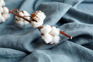 Cotton Makes Differences in Lifestyle of People